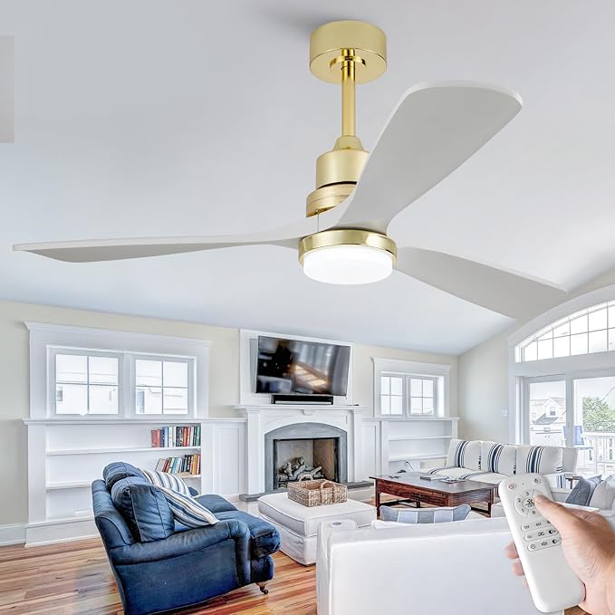 Indoor Ceiling Fans